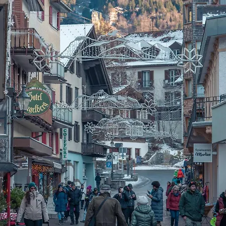 Titlis With Balcony Great View * Engelberg