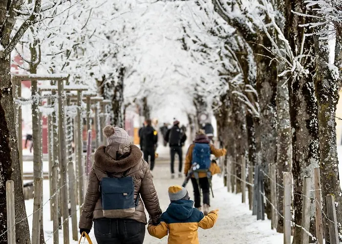 Appartamento Titlis With Balcony Great View Engelberg