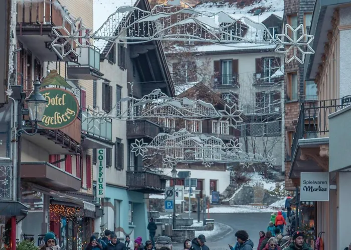 Titlis With Balcony Great View * Engelberg