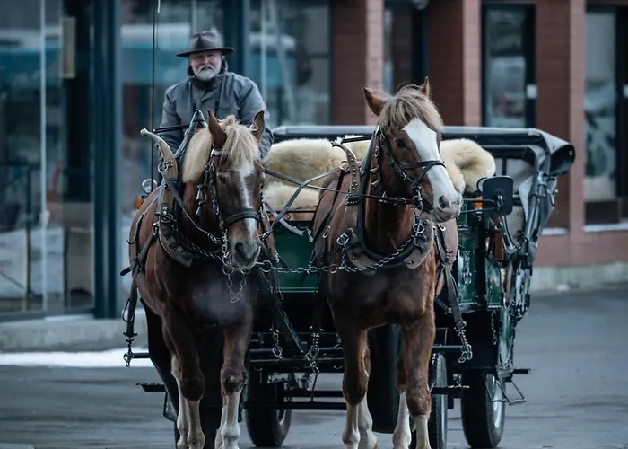 Titlis With Balcony Great View *